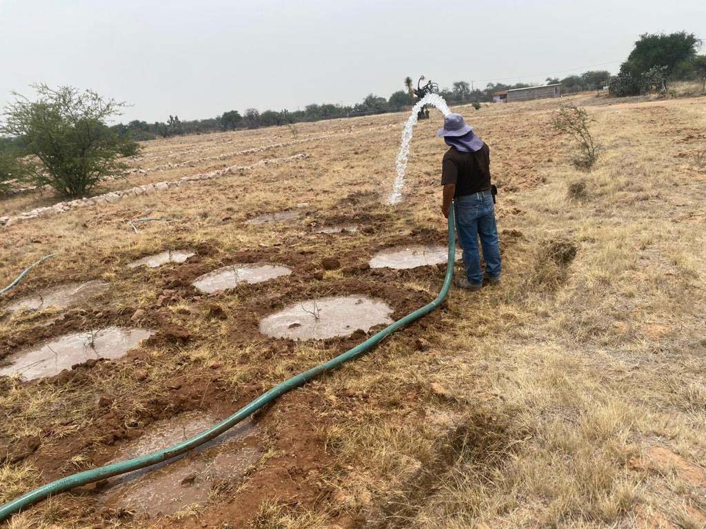 PRAMSEI: Proyectos ambientales en etapas constructivas y operativas (74)